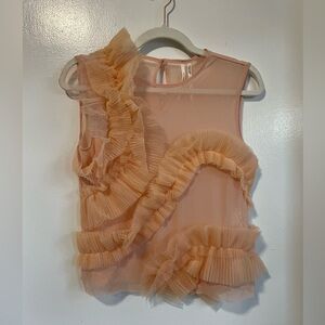 Anthro Blush Sheer Tulle/ Mesh Top
